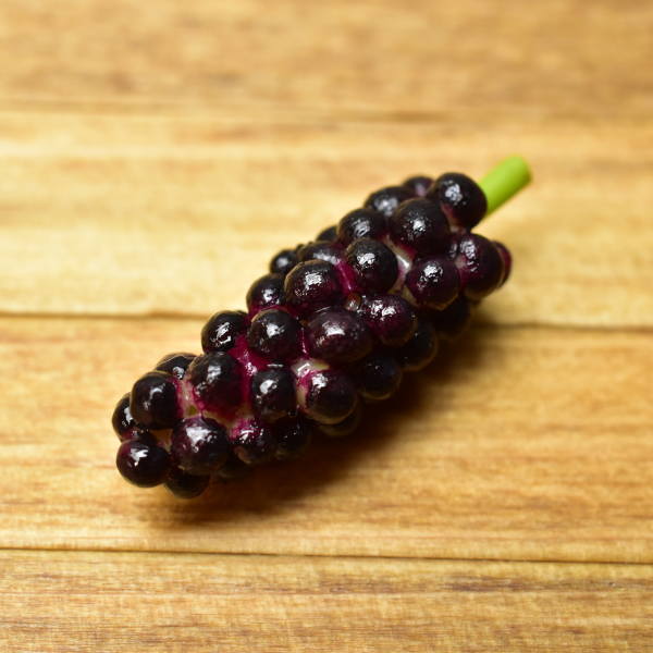 ミニチュアフード 果物シリーズ 【デラウエア [LF18] 1個】 (1/12スケール) [m-s]【SM】【ネコポス配送対応】【C】