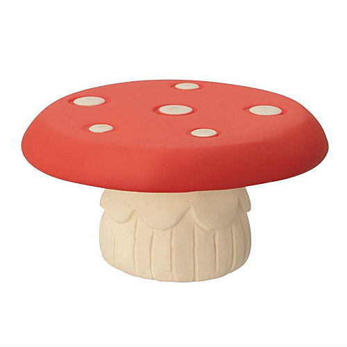 きのこの森(2023)