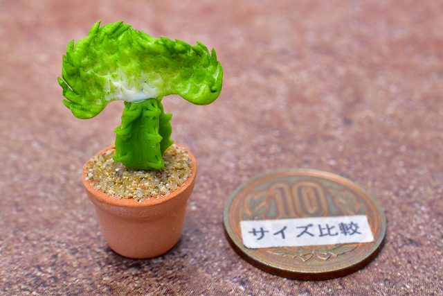 ミニチュアパーツ 鉢植えミニサボテン [CT12] (1/12スケール) [m-s]【ネコポス配送対応】【C】