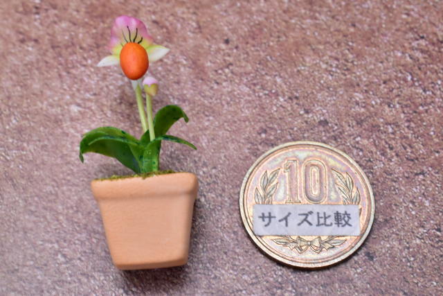 ミニチュアパーツ 鉢植え蘭(ラン) [ORP6] (1/12スケール) [m-s]【ネコポス配送対応】【C】