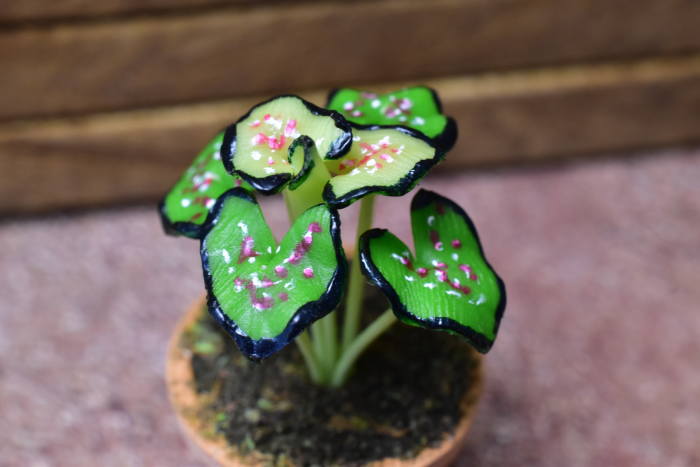 【植物らばー】 ミニチュアパーツ 鉢植え観葉植物 [PNL4] (1/12スケール) [m-s