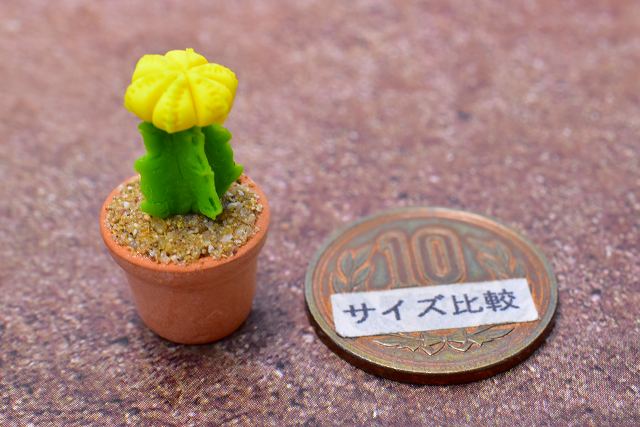 ミニチュアパーツ 鉢植えミニサボテン [CT6] (1/12スケール) [m-s]【ネコポス配送対応】【C】