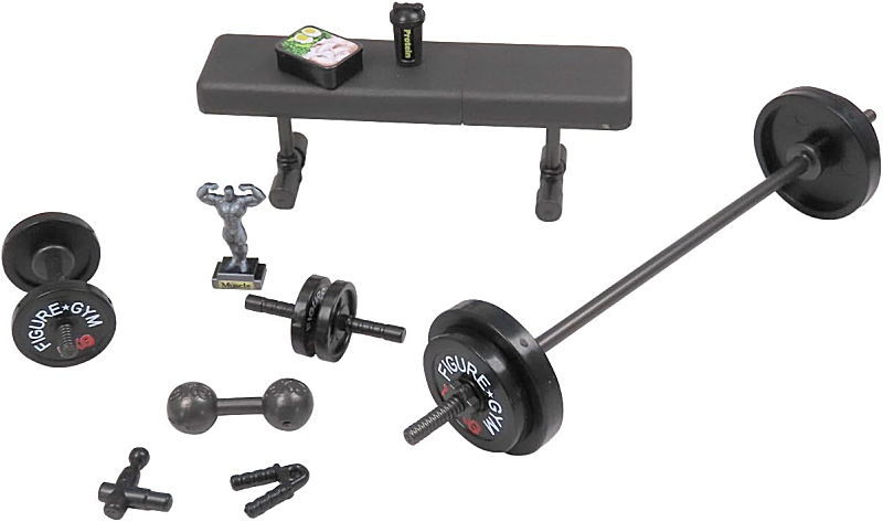 クリスマスプレゼントにも 希少　筋トレフィギュア プリプラ フィギュアの筋トレ (1/12スケール 彩色済プラスチックモデル