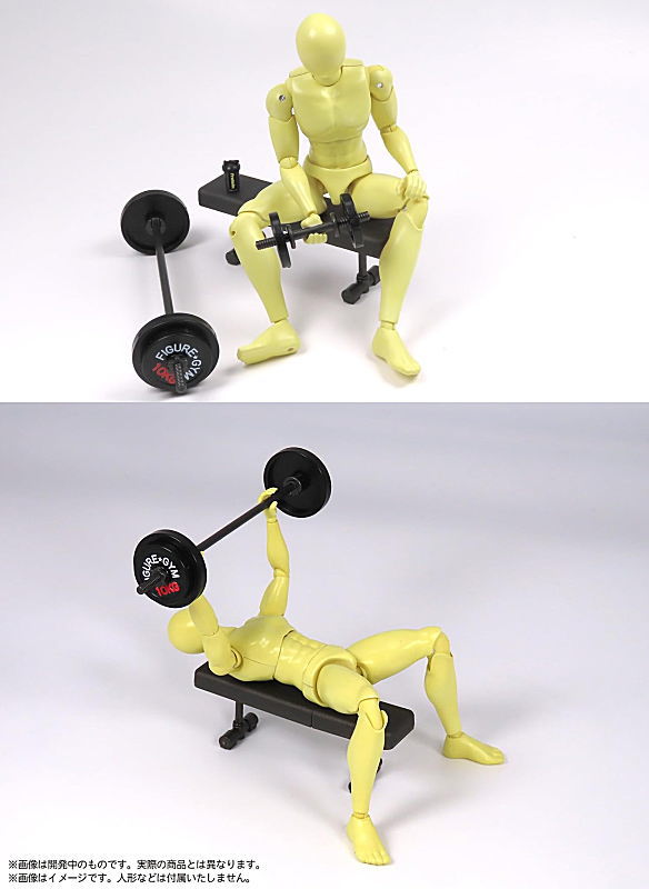 プリプラ フィギュアの筋トレ (1/12スケール 彩色済プラスチックモデル