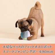 ヘミルペット スマートジャンピングボール90min *お品切れ 再入荷未定