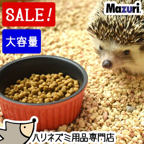 はりねずみんみん共和国,フード（ハリネズミ） | チンチラ・はりねずみ