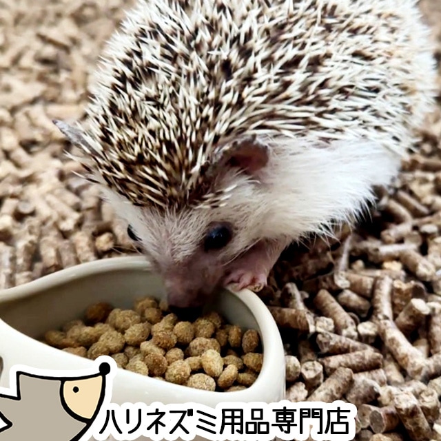ハリネズミページ 楽天市場】玄関マット ハリネズミ ダイカット 53×73 cm 洗える