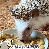 【本店限定価格】ゆうパケットOK ハリネズミのむしたまペレットフード「ふらつき配慮」 300g はりねずみんみん共和国オリジナルフード03 フード エサ 餌 メール便対応