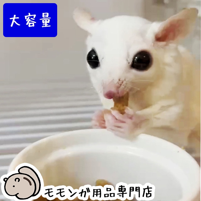 モモンガ　まとめ売り10点 2025年最新】モモンガ ちいかわ プライズの人気アイテム - メルカリ