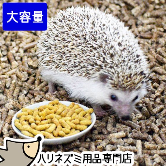 ハリネズミページ 楽天市場】玄関マット ハリネズミ ダイカット 53×73 cm 洗える