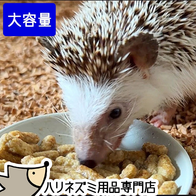 はりねずみんみん共和国,ようこそ！みんみん共和国へ！ | はりね