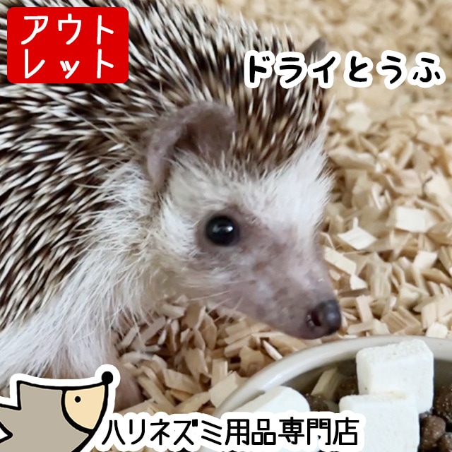 ハリネズミさま専用 Amazon | 三晃商会 SANKO P17 ハリネズミリター 6L | Sanko | 底