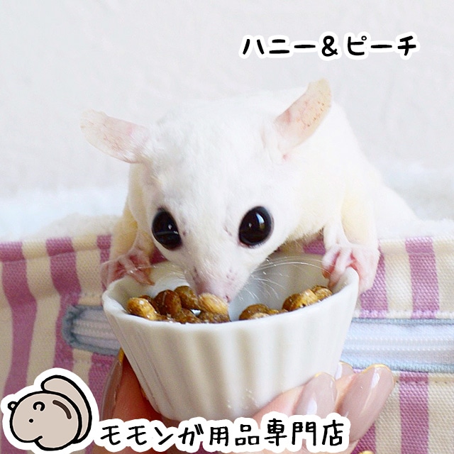 ももんがもんもん共和国 ,フード（フクロモモンガ）,ペレットフード