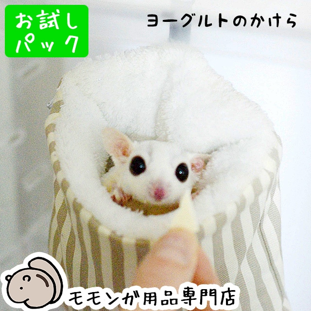 ももんがもんもん共和国 ,フード（フクロモモンガ） | チンチラ・はり