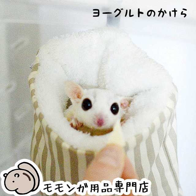 ももんがもんもん共和国 ,フード（フクロモモンガ） | チンチラ・はり