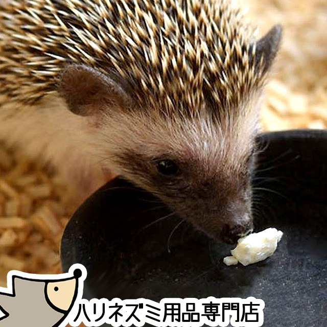 はりねずみんみん共和国,フード（ハリネズミ）,おやつ（ハリネズミ