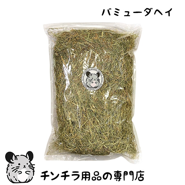 ハリネズミ用品とフクロモモンガ用品の専門店「チンチラ・はりねずみ