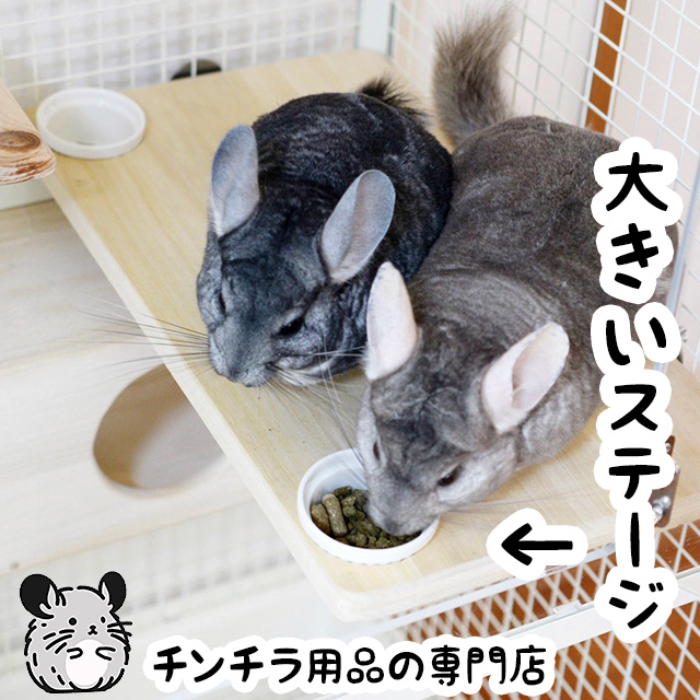 チンチラもふもふ共和国,かじれるグッズ（チンチラ） | チンチラ・はり