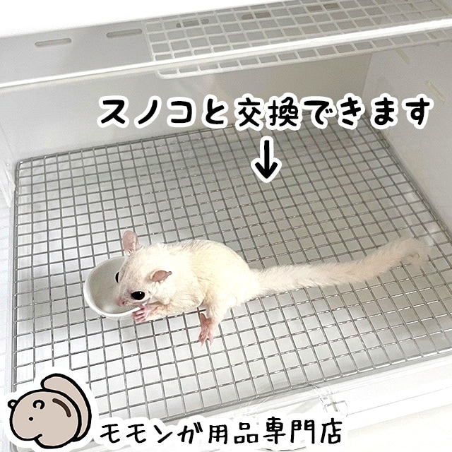 ももんがもんもん共和国 ,ケージ（フクロモモンガ） | チンチラ・はり