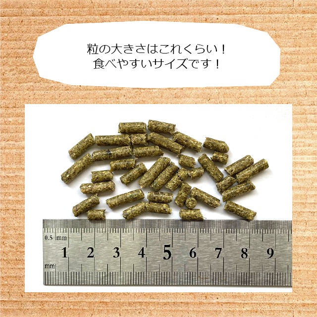 ゆうパケットOK Mazuri マズリ チンチラフード 500g チンチラのペレットフード チンチラ フード エサ 餌 えさ メール便対応