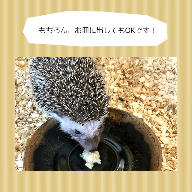 ゆうパケットOK CASA ハリネズミ・モモンガのチキンピューレ