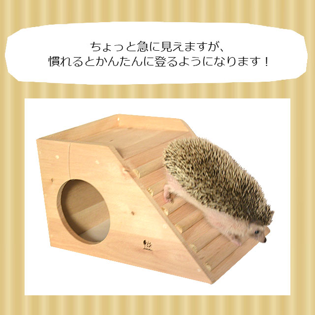 ハリヌズミさん専用 NIKSN51700_00_L.jpg