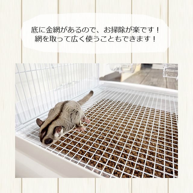 SANKO イージーホーム クリアー モモンガ40 WH フクロモモンガの