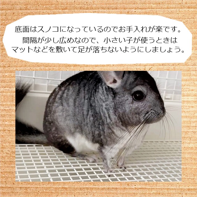 ☆ケーシー☆ ページ チンチラの金網じゃないケージ！ GEX クリアフロント70High チンチラに