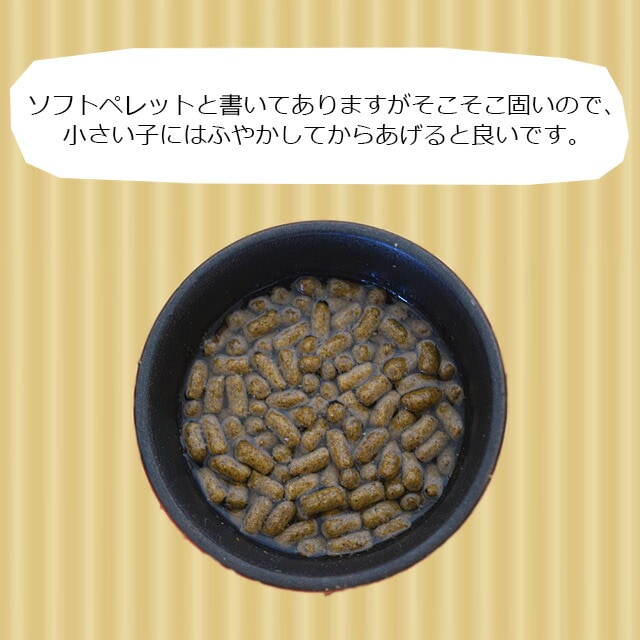 ニチドウ メディハリネズミ 300g フード エサ 餌 | | チンチラ・はり