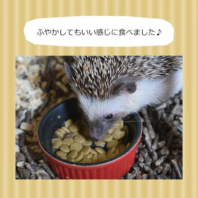 ゆうパケットOK CASA ハリネズミレシピ 100g お試し小分けパック