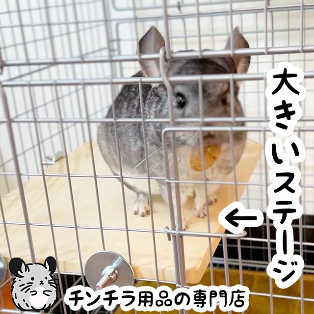 チンチラもふもふ共和国 ひろびろ木製コーナーステージ 中二階が作れる