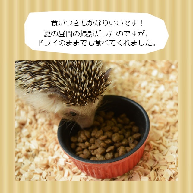 Pet-Pro スパイクスデライト プレミアムダイエット 赤 600g Spike's