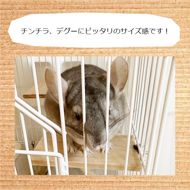 ゆうパケットOK チンチラもふもふ共和国 木製ステップ3個セット わけ