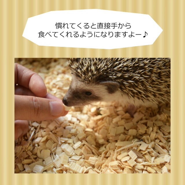 ゆうパケットOK ヨーグルトドロップ 50g おやつ Exotic Nutrition