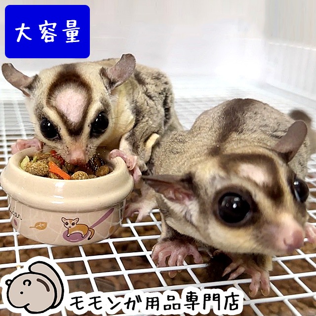 4_000000000373.jpg?1755841971