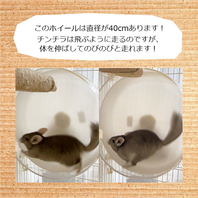 Sinli様ご依頼用3点 お客様の声 | 中古車高価買取のZX