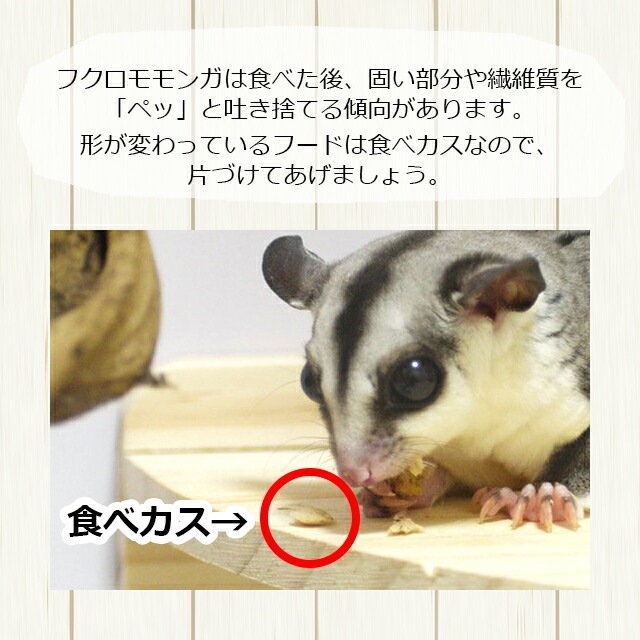 エゾモモンガ出品 K.ZEPHYR400(コードセット付)｜バイクの点火システム、パワー