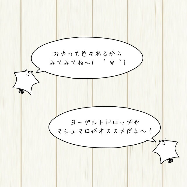 ゆうパケットOK SANKO フクロモモンガフード 80g お試し小分けパック