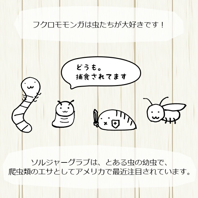 ゆうパケットOK ソルジャーグラブ 15g ももんがもんもん共和国