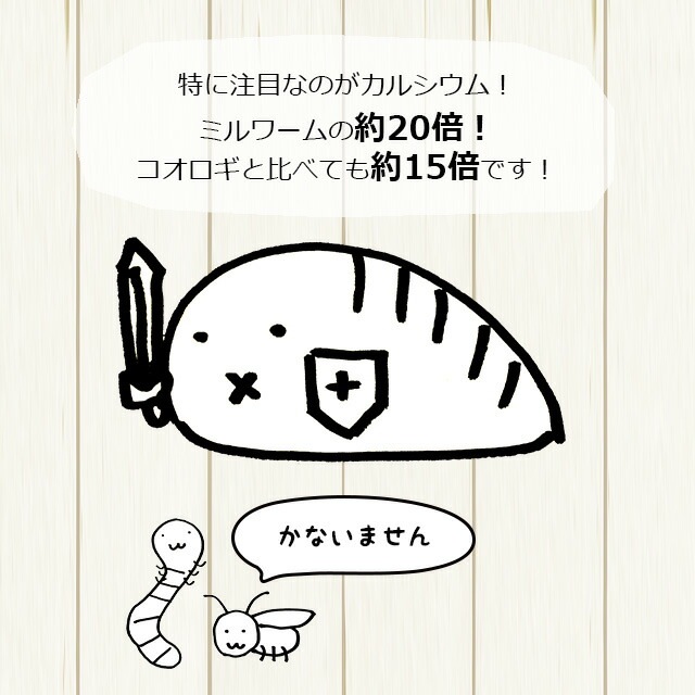 エキゾチック臨床 Vol.17 ハリネズミとフクロモモンガ エキゾチック臨床シリーズ | 株式会社学窓社