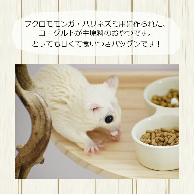ヨーグルトドロップ100㌘チルド便発送、小動物おやつ