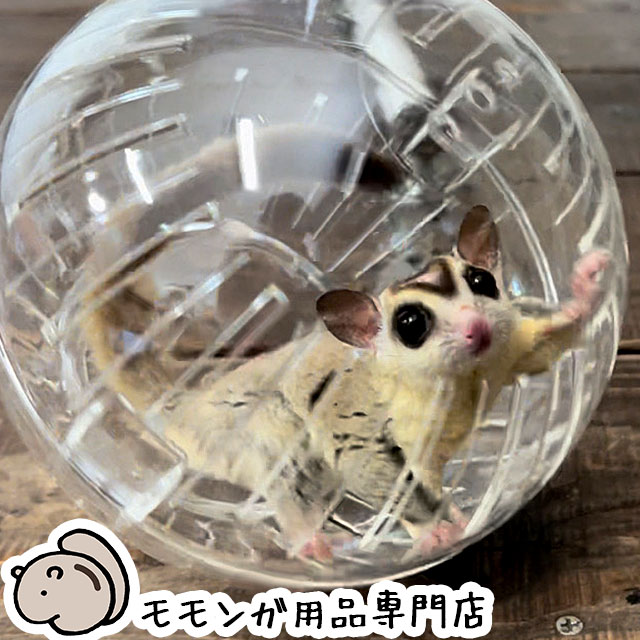 SANKO ランナーボール18 フクモモのお部屋さんぽにピッタリの