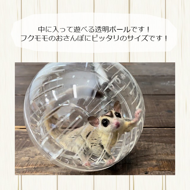 美品まとめ売り Mega Horn II タングラム、SOLOBASE、モモンガ 美品まとめ売り Mega Horn II タングラム、SOLOBASE、モモンガ