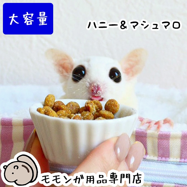 大容量】【本店限定価格】ハッピーブレンドグライダーフード ハニー