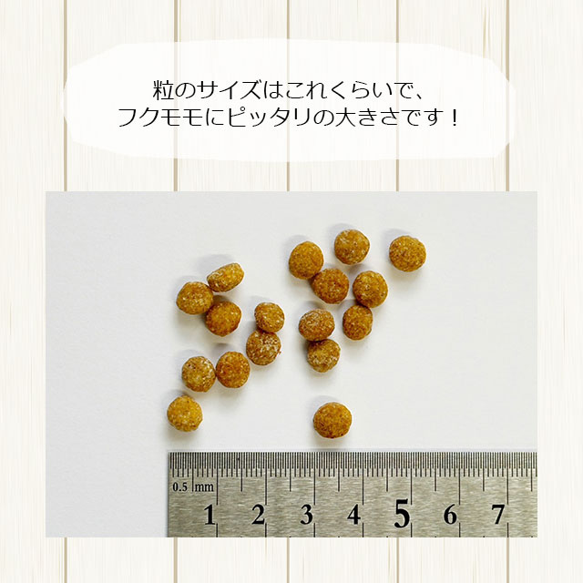 大容量】【本店限定価格】ハッピーブレンドグライダーフード ハニー