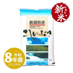 とれたて新米 新潟産こしいぶき5kg 白米 令和8年産