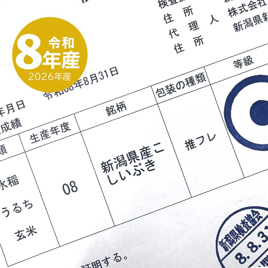 こしいぶき