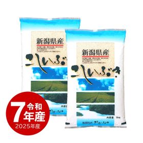 米 新潟産こしいぶき10kg 令和7年産