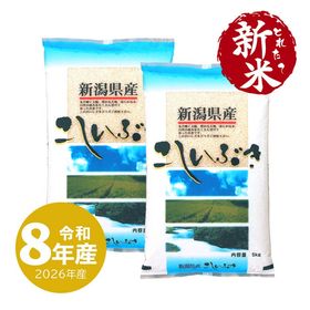とれたて新米 新潟産こしいぶき10kg 令和8年産