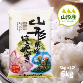 お米 山形県産 はえぬき5kg 令和6年産